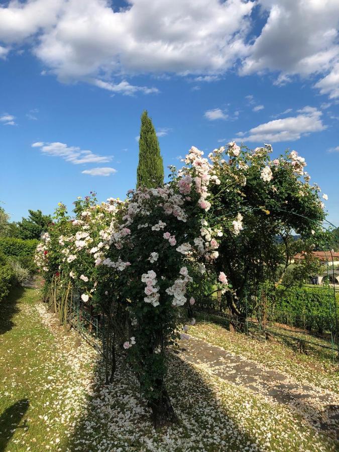 Il Giardino Di Flora Otel Buti Dış mekan fotoğraf